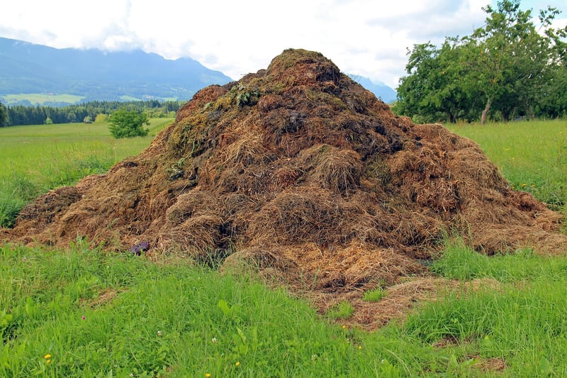 DIY Compost Bin